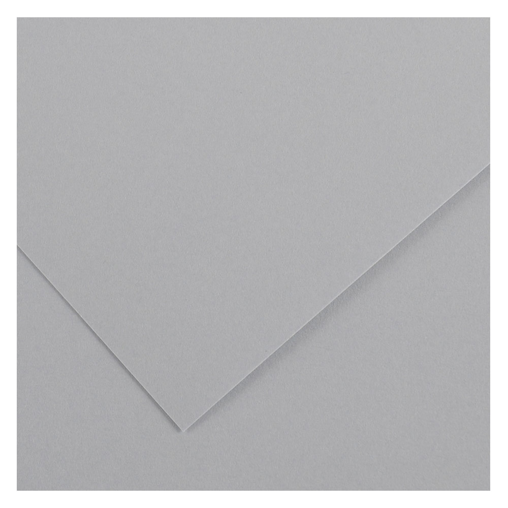 Canson Colorline Colored Paper 300gsm 19.5"x25.5" Light Gray