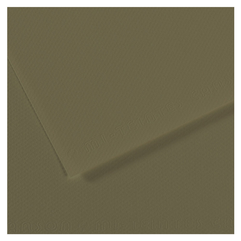 Canson Artist Series Mi-Teintes Pastel Paper Sheet 19"x25" Olive Green 191