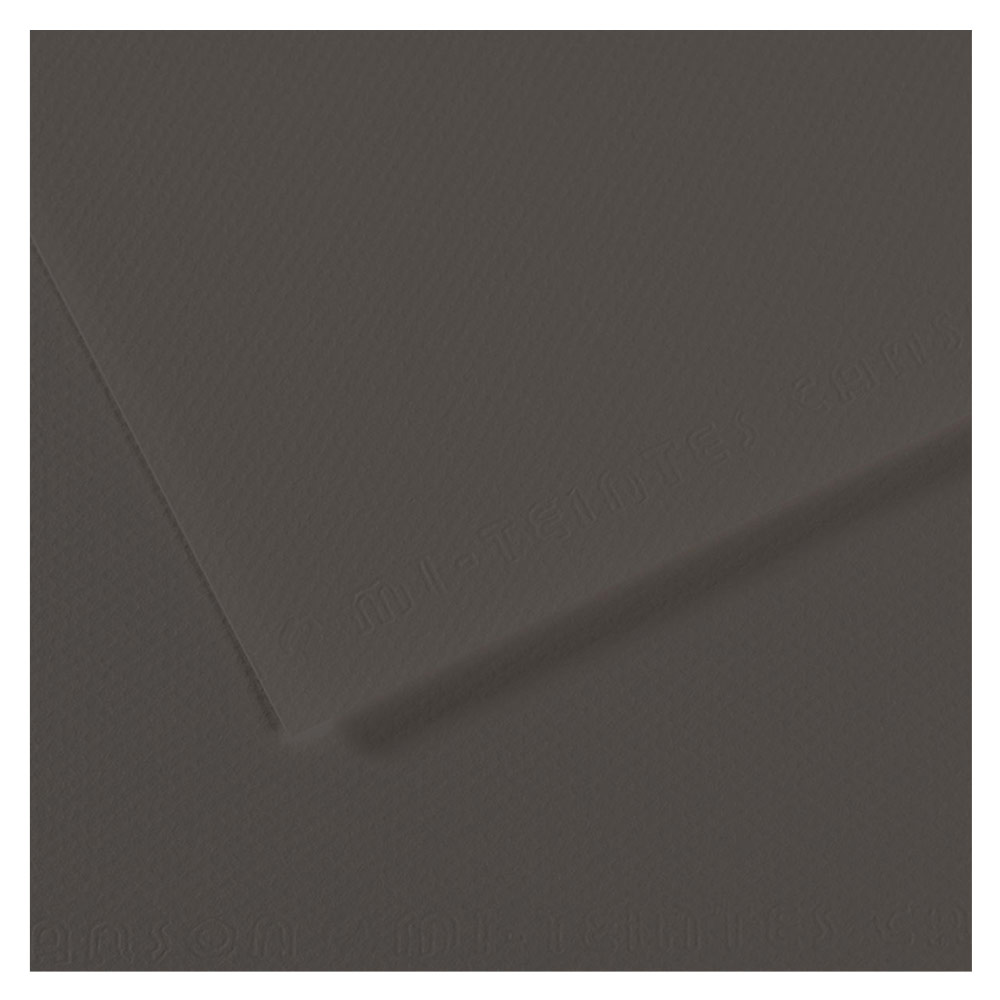 Canson Mi-Teintes Artist Series Pastel Paper 19"x25" Charcoal Grey 184