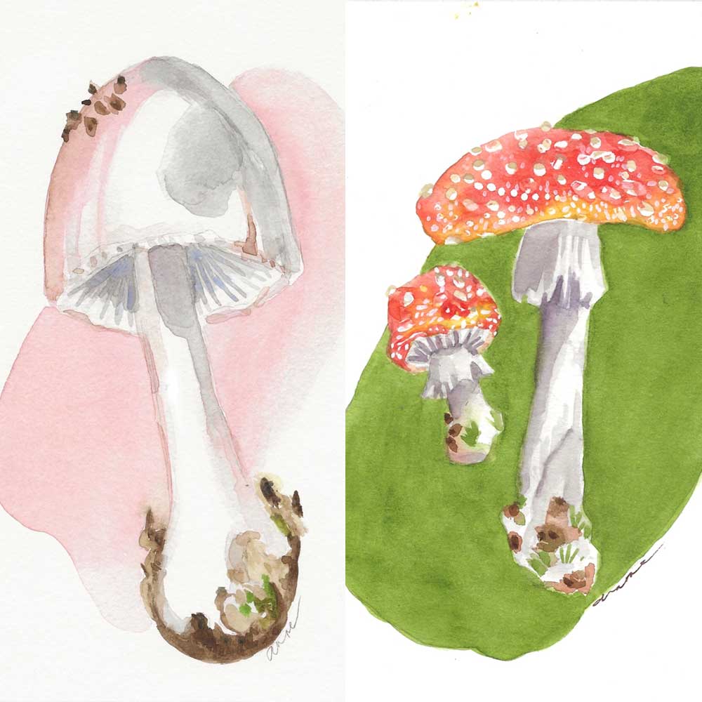 In the Studio: Watercolor Mushrooms with Anne Kupillas 4/26