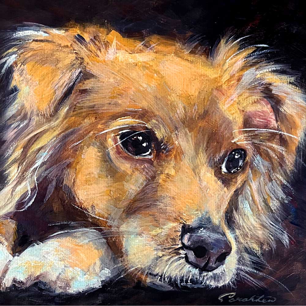 Pet Portraits with Sarah Lew 12/14