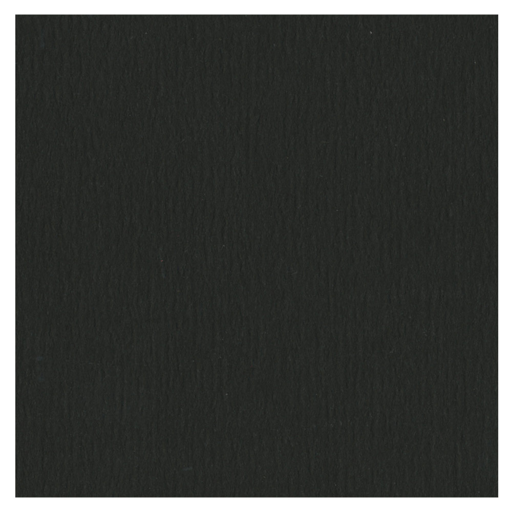 Departments Crescent RagMat Museum Mat Board 32"x40" Raven Black