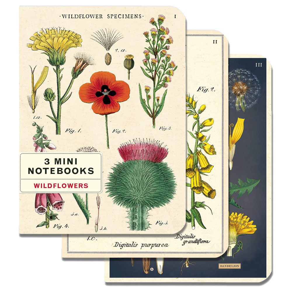 Cavallini Mini Assorted Vintage Notebooks 4"x5.5" 3 Pack Wildflowers