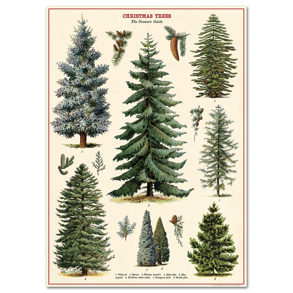 Cavallini Vintage Holiday Poster Paper 20"x28" Christmas Trees