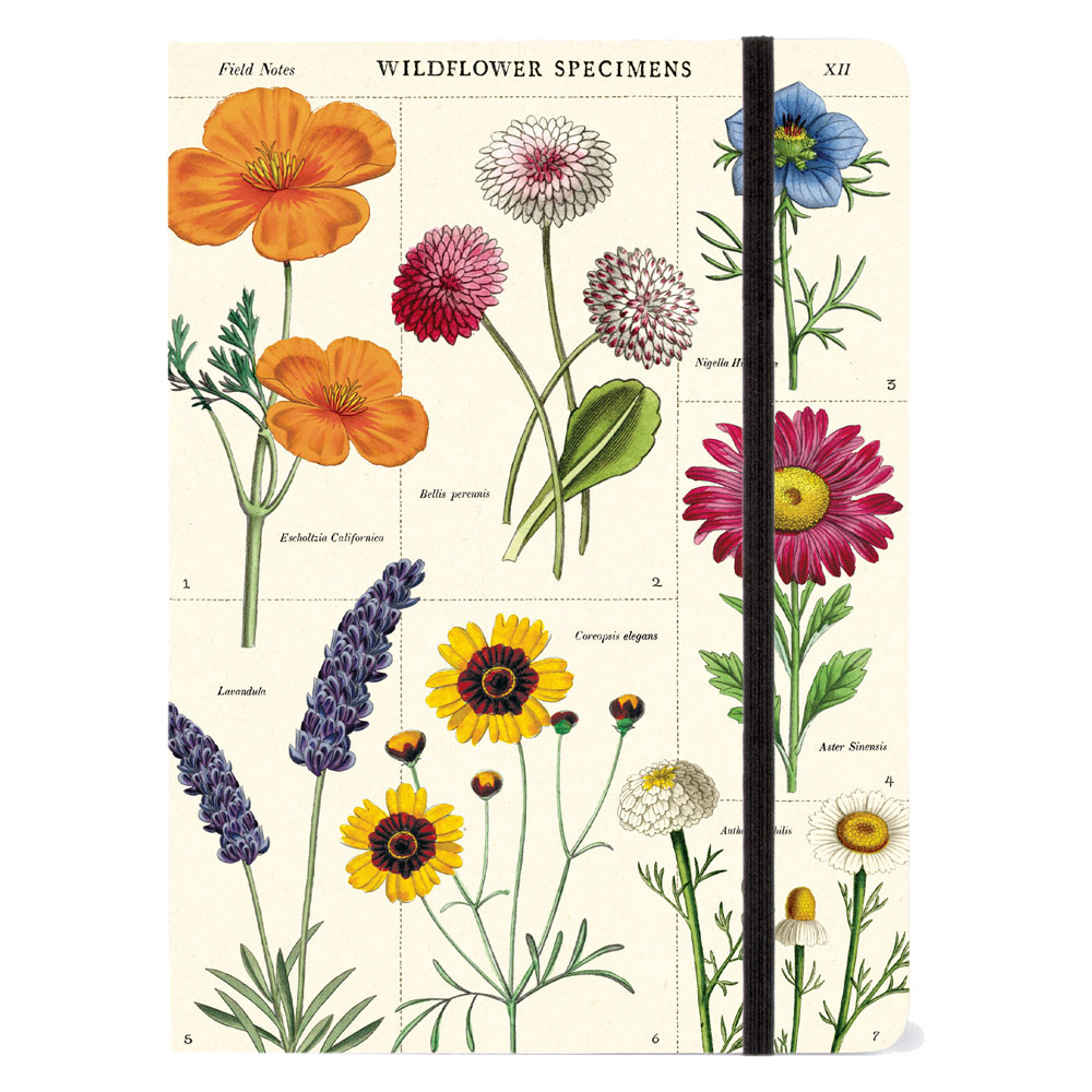 Cavallini Large Lined Vintage Notebook 6"x8" Wildflowers