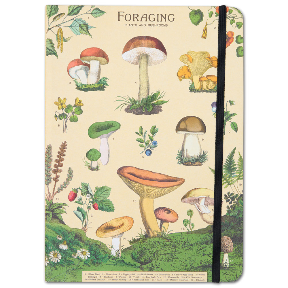 Cavallini Large Lined Vintage Notebook 6"x8" Foraging