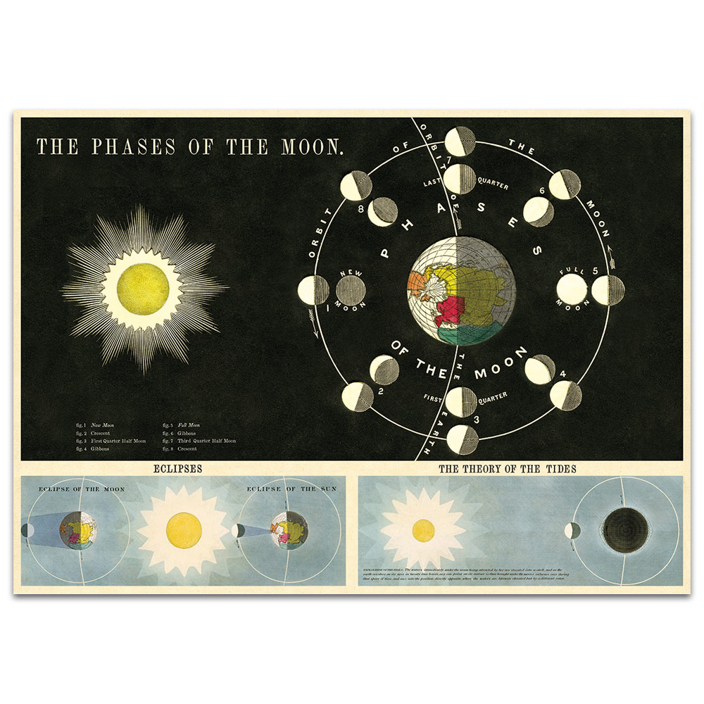 Cavallini Vintage Poster Paper 20"x28" The Phases of the Moon