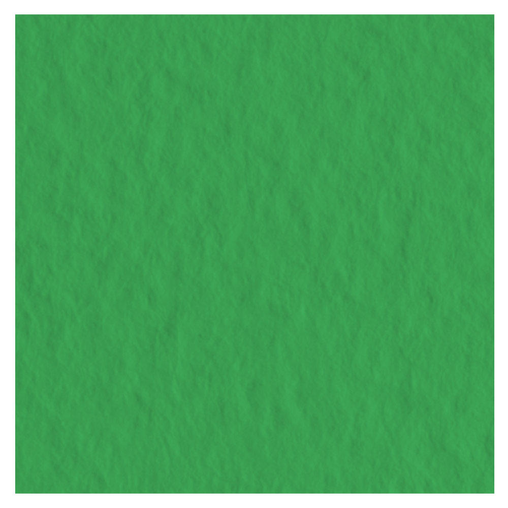 Fabriano Tiziano Paper 20" x 26" - Emerald Green