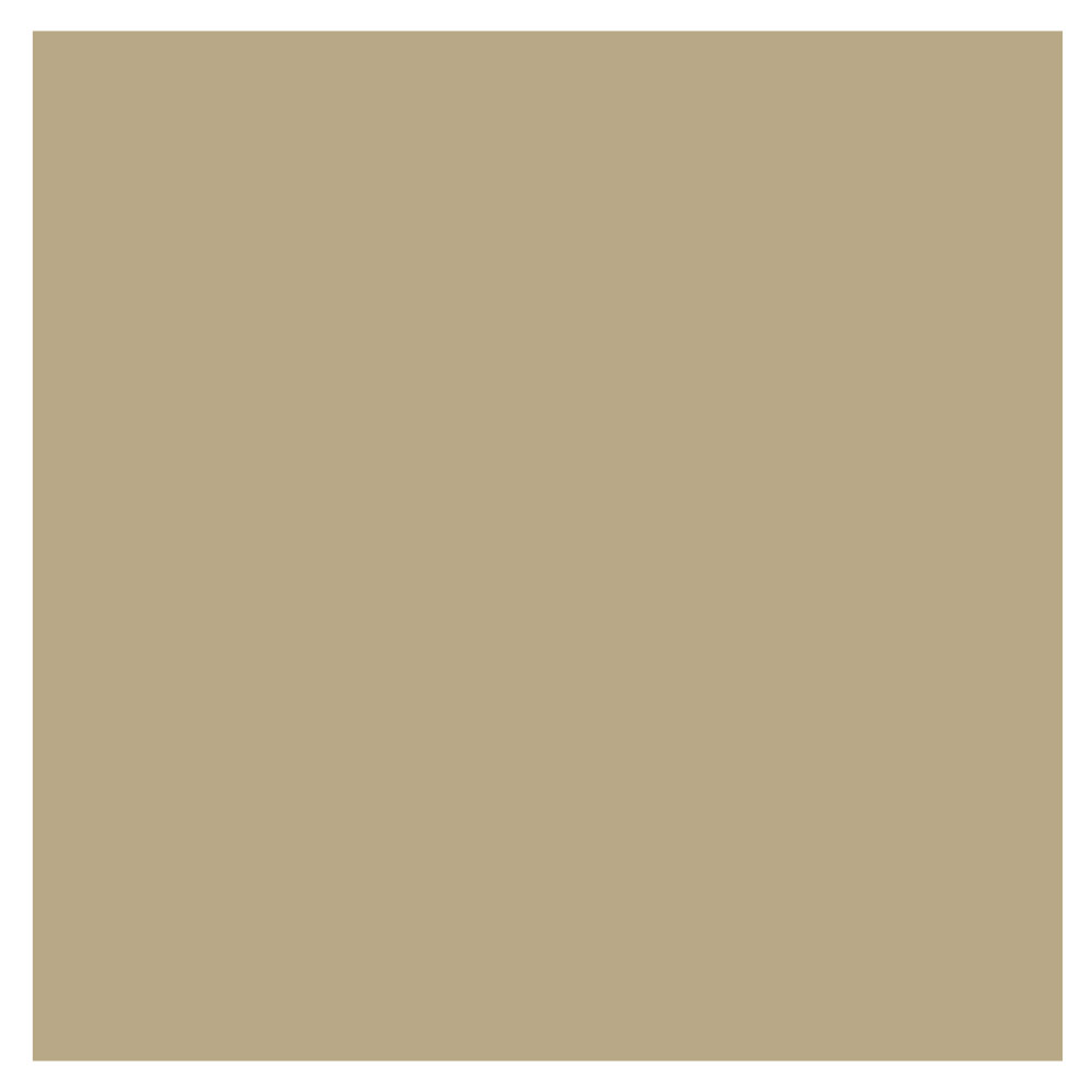 Fabriano Vice Versa Heavy-Weight Card Stock Paper 20"x27" China