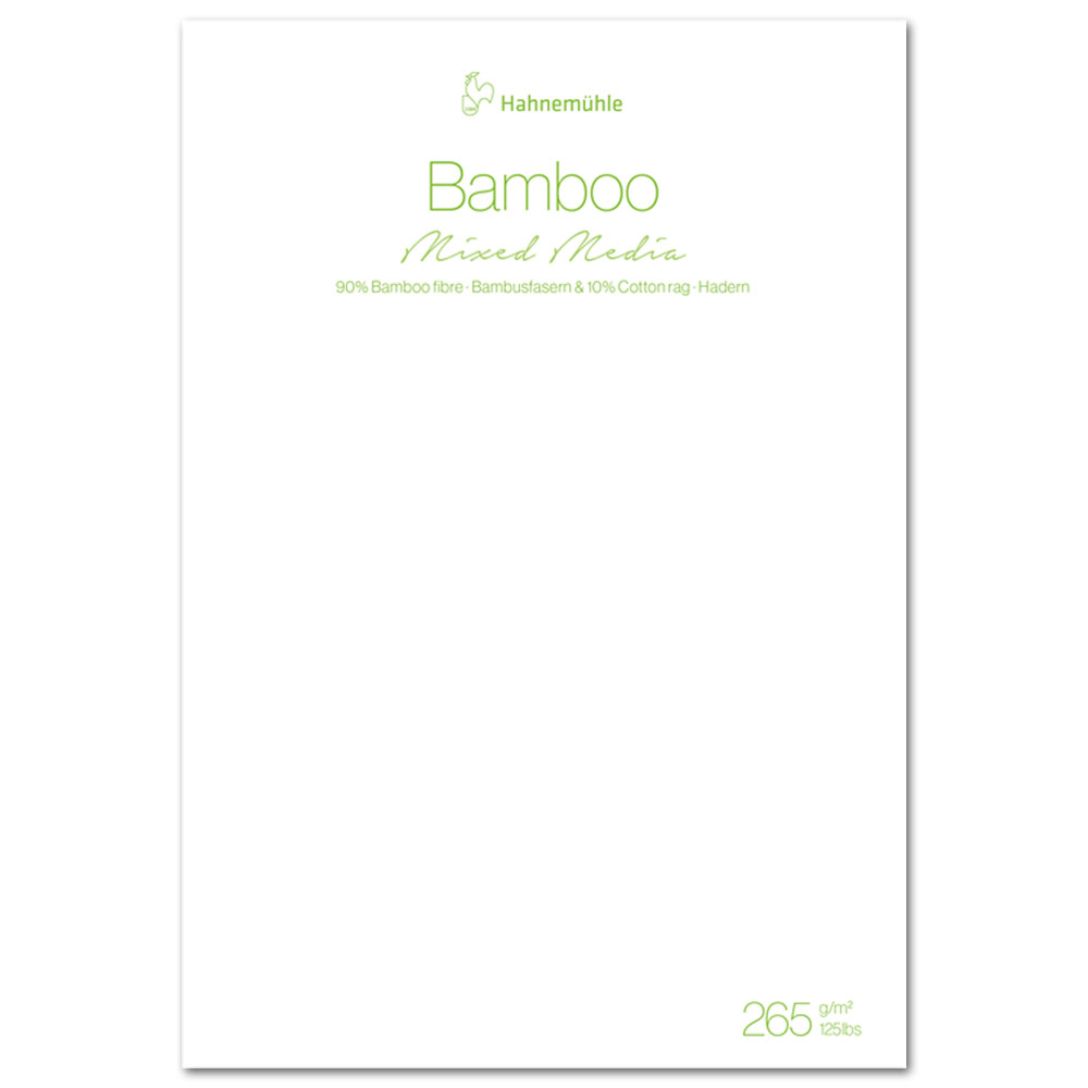 Hahnemuhle Bamboo Mixed Media Paper 10 Sheets 19.5"x25.53" White