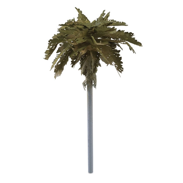 Mr Tree Palm Trees 3 Sheets