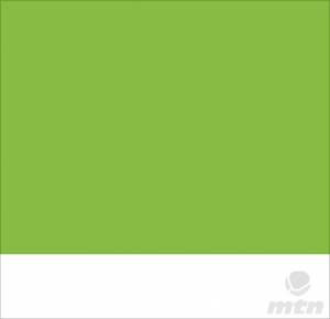 MTN Street PAINT Marker 15mm - Guacamole Green