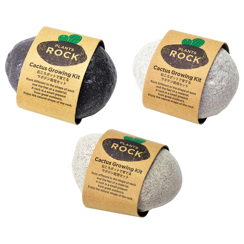 Noted Plants Rock Cactus