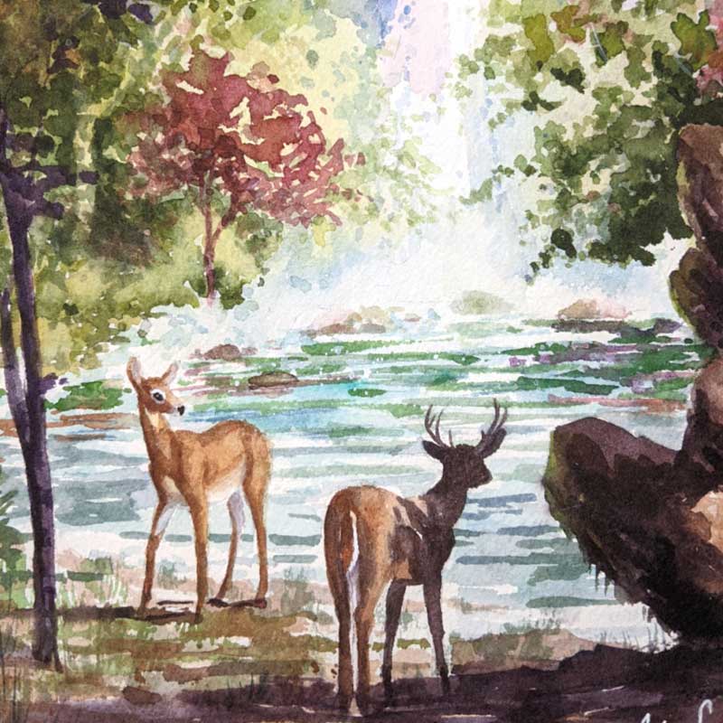 Live Online Class Drawing and Painting Animals in their Habitat 7/21