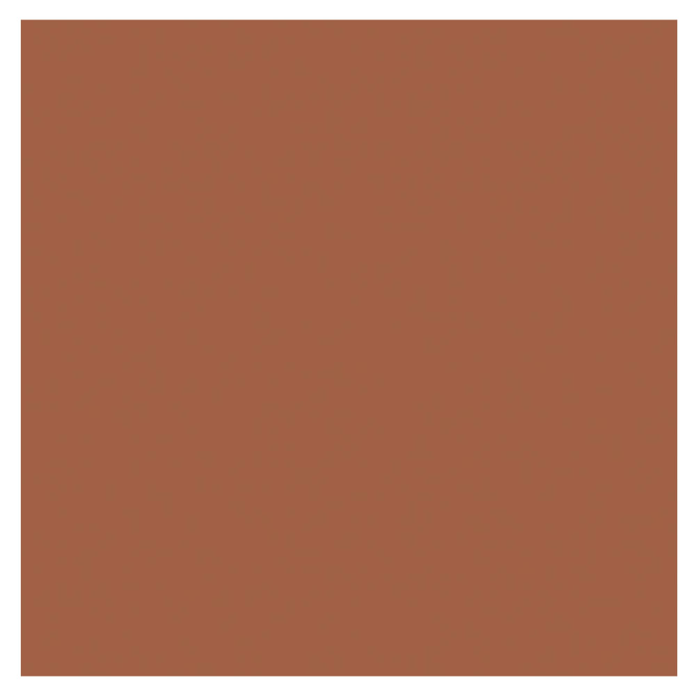Pacon Railroad Poster Board 4-Ply 22"x28" Brown