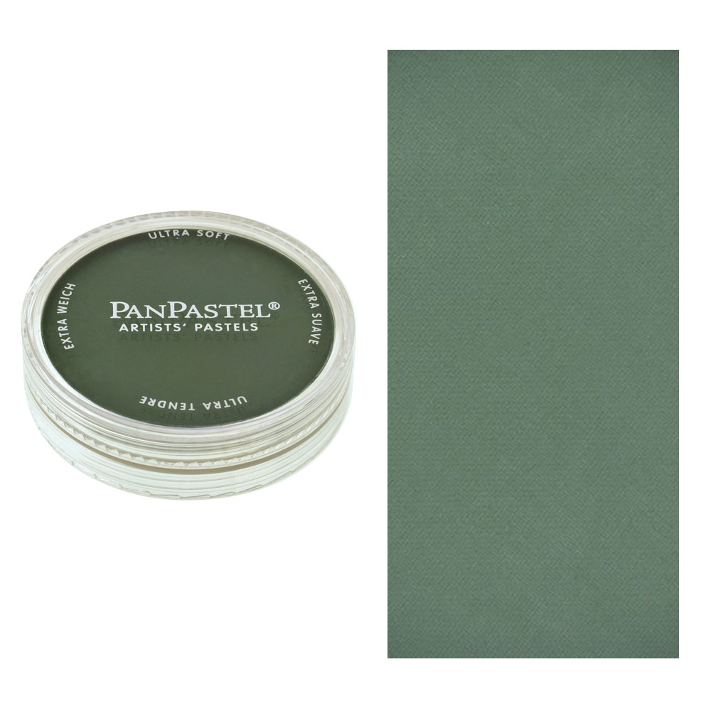 PanPastel Artists' Painting Pastel Permanent Green Extra Dark 640.1