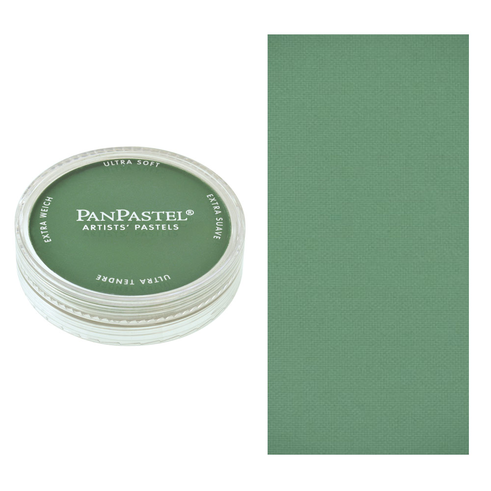 PanPastel Artists' Painting Pastel Permanent Green Shade 640.3
