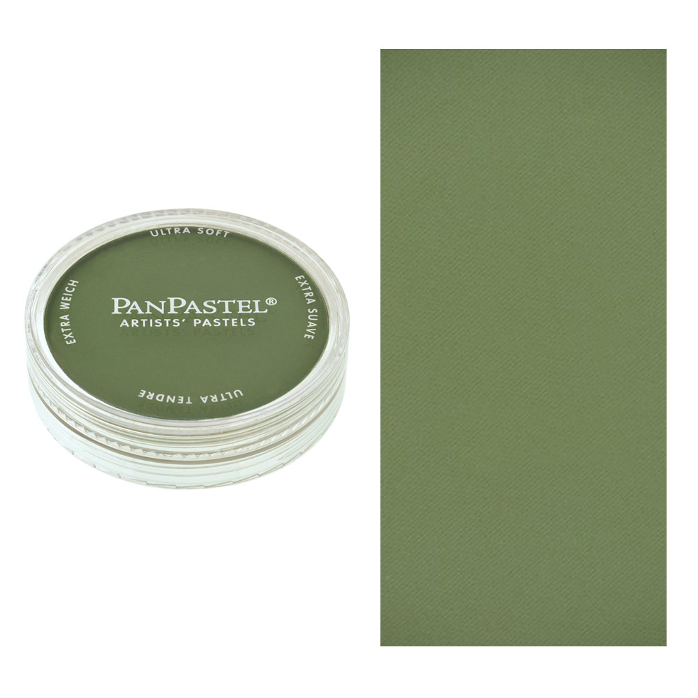 PanPastel Artists' Painting Pastel Chromium Oxide Green Shade 660.3