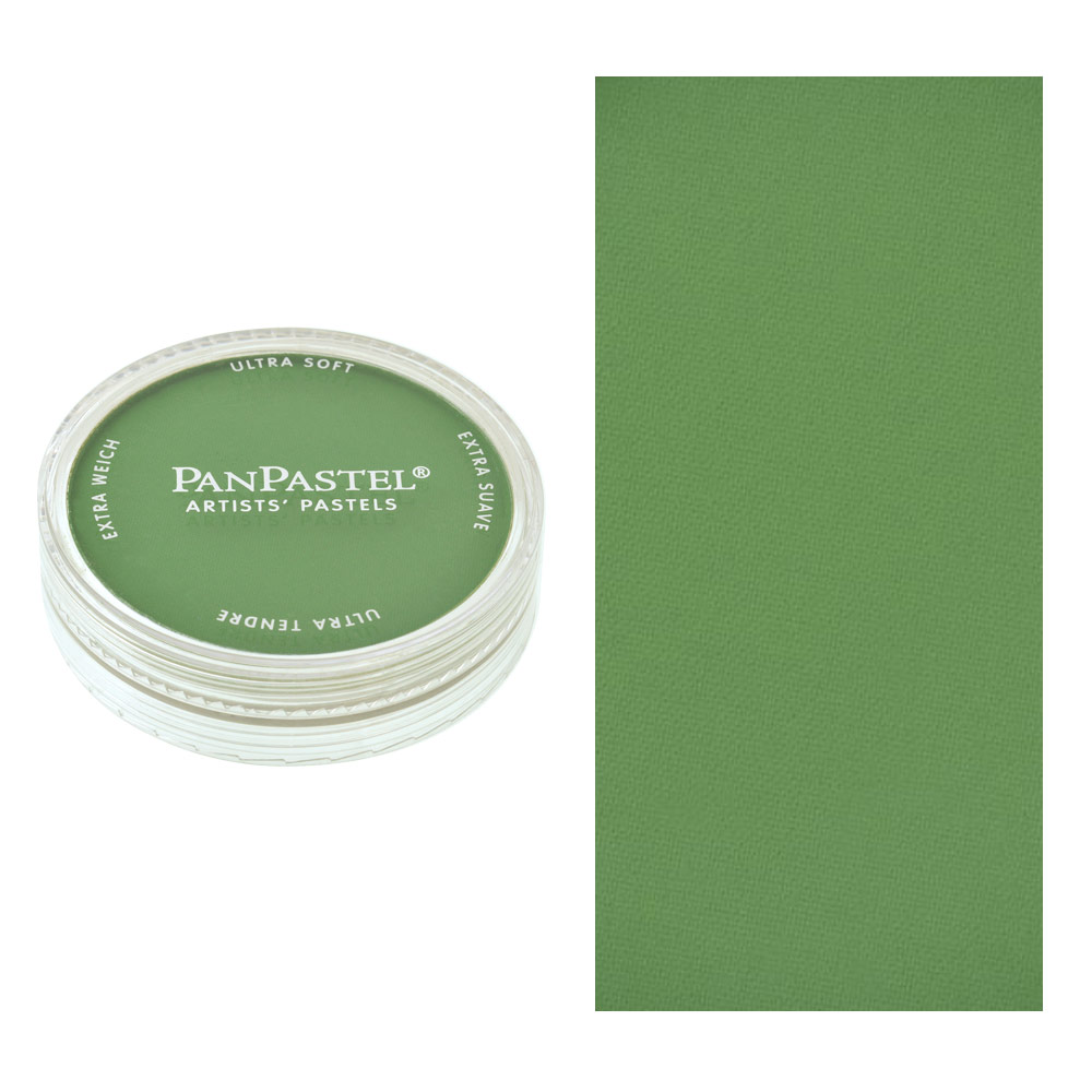 PanPastel Artists' Painting Pastel Chromium Oxide Green 660.5