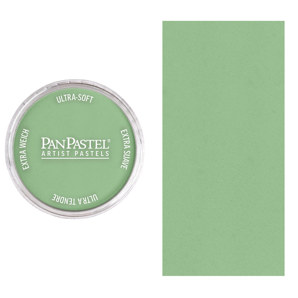 PanPastel Artists' Painting Pastel Chromium Oxide Green Light 660.7