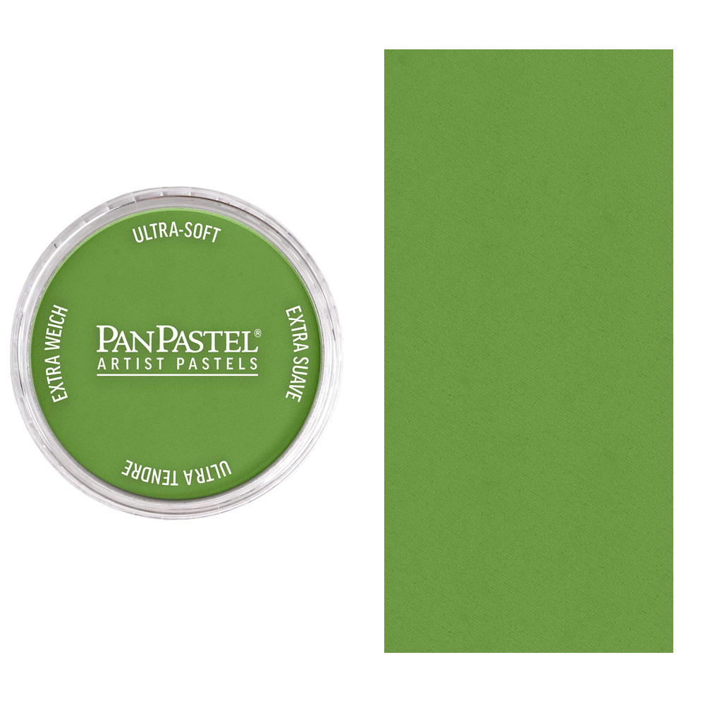 PanPastel Artists' Painting Pastel Yellow Green Shade 690.3