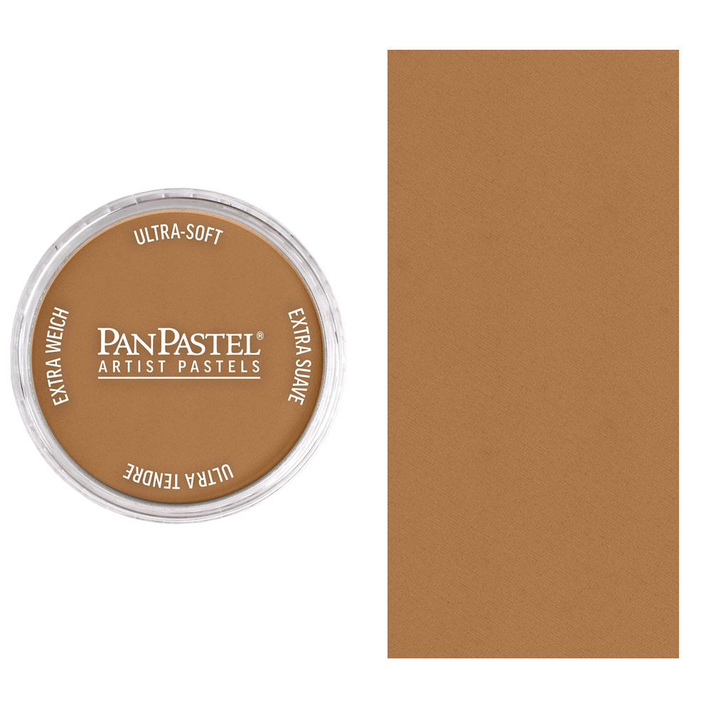 PanPastel Artists' Painting Pastel Raw Sienna Shade 710.3