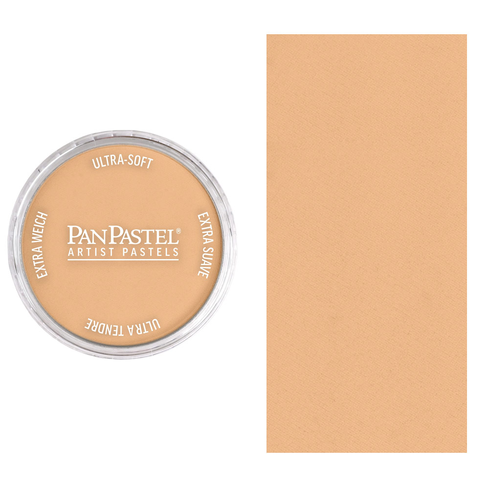 PanPastel Artists' Painting Pastel Raw Sienna Light 710.7