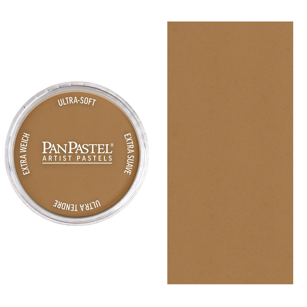 PanPastel Artists' Painting Pastel Burnt Umber Medium 760.6