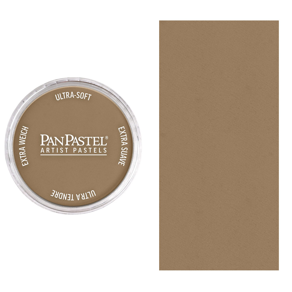 PanPastel Artists' Painting Pastel Raw Umber Light 780.7