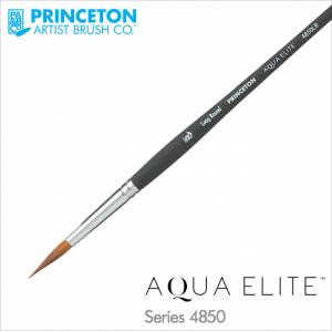 Princeton Aqua Elite Synthetic Series 4850 - Long Round #12