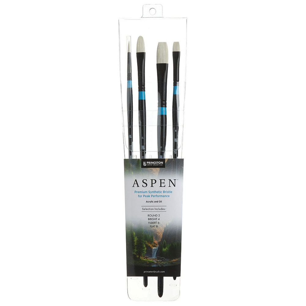 Princeton Aspen Synthetic Bristle Brush Series 6500 Professional 4 Set