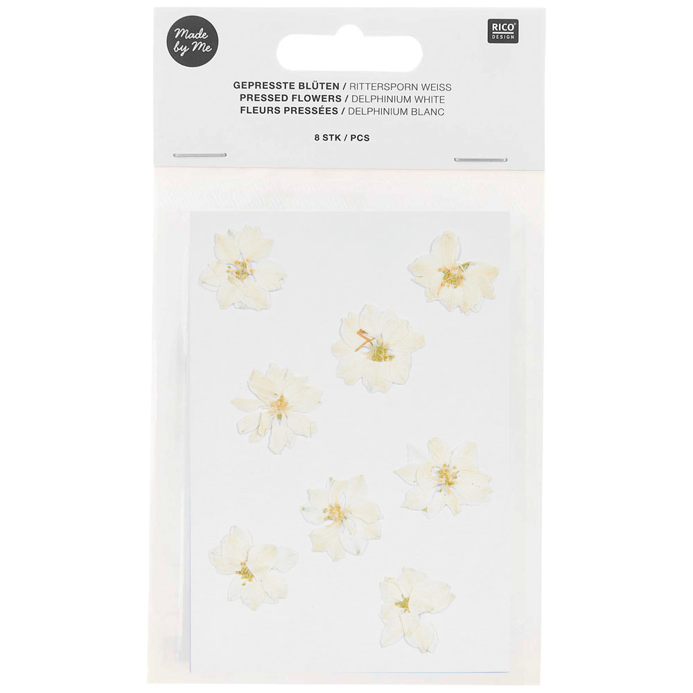 Rico Design Pressed Flower 8 Set Delphinium White