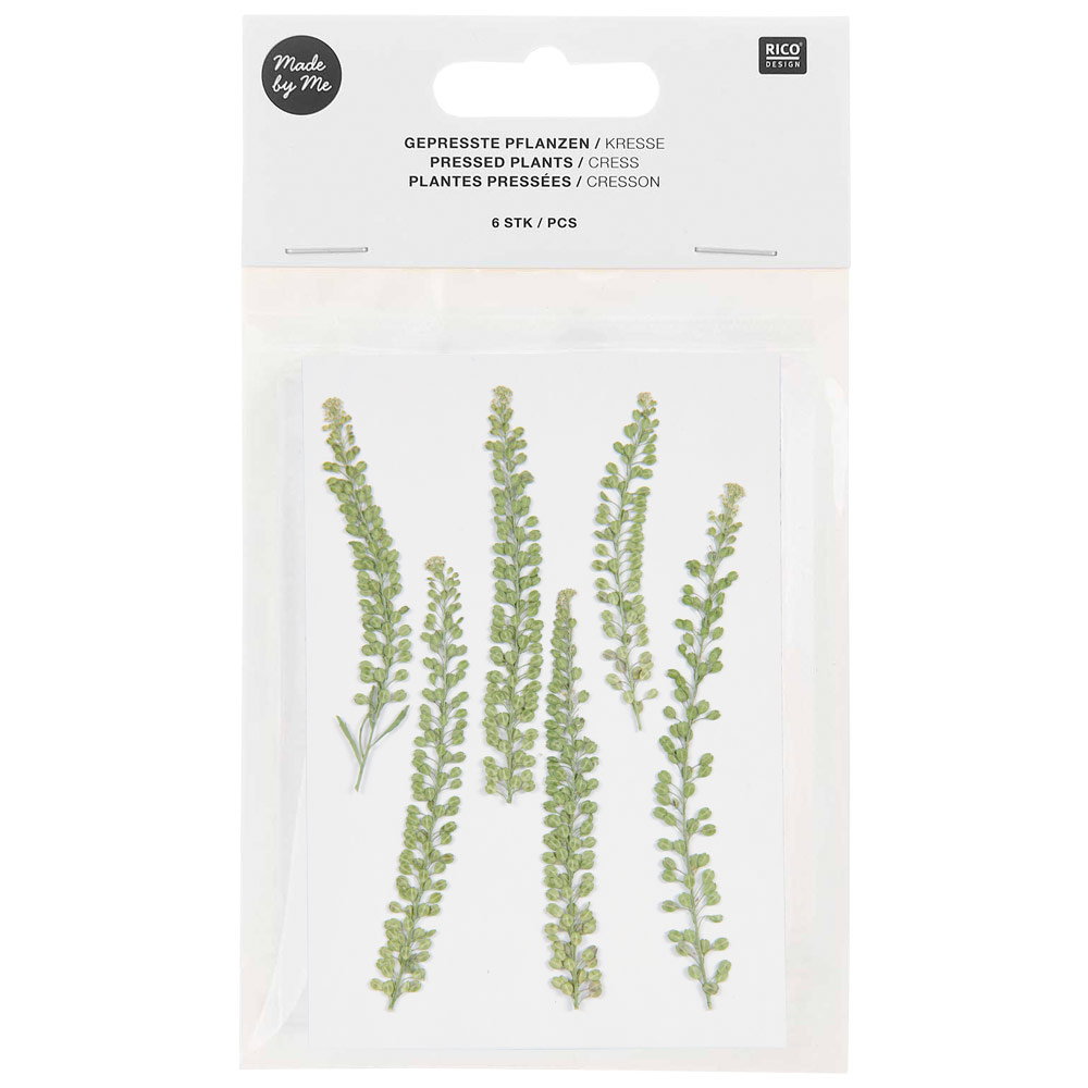 Rico Design Pressed Plant 6 Set Cress