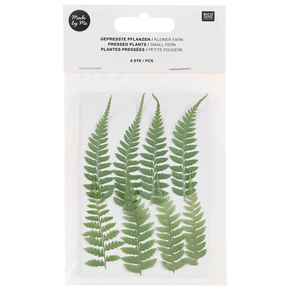 Rico Design Pressed Plant 8 Set Small Fern