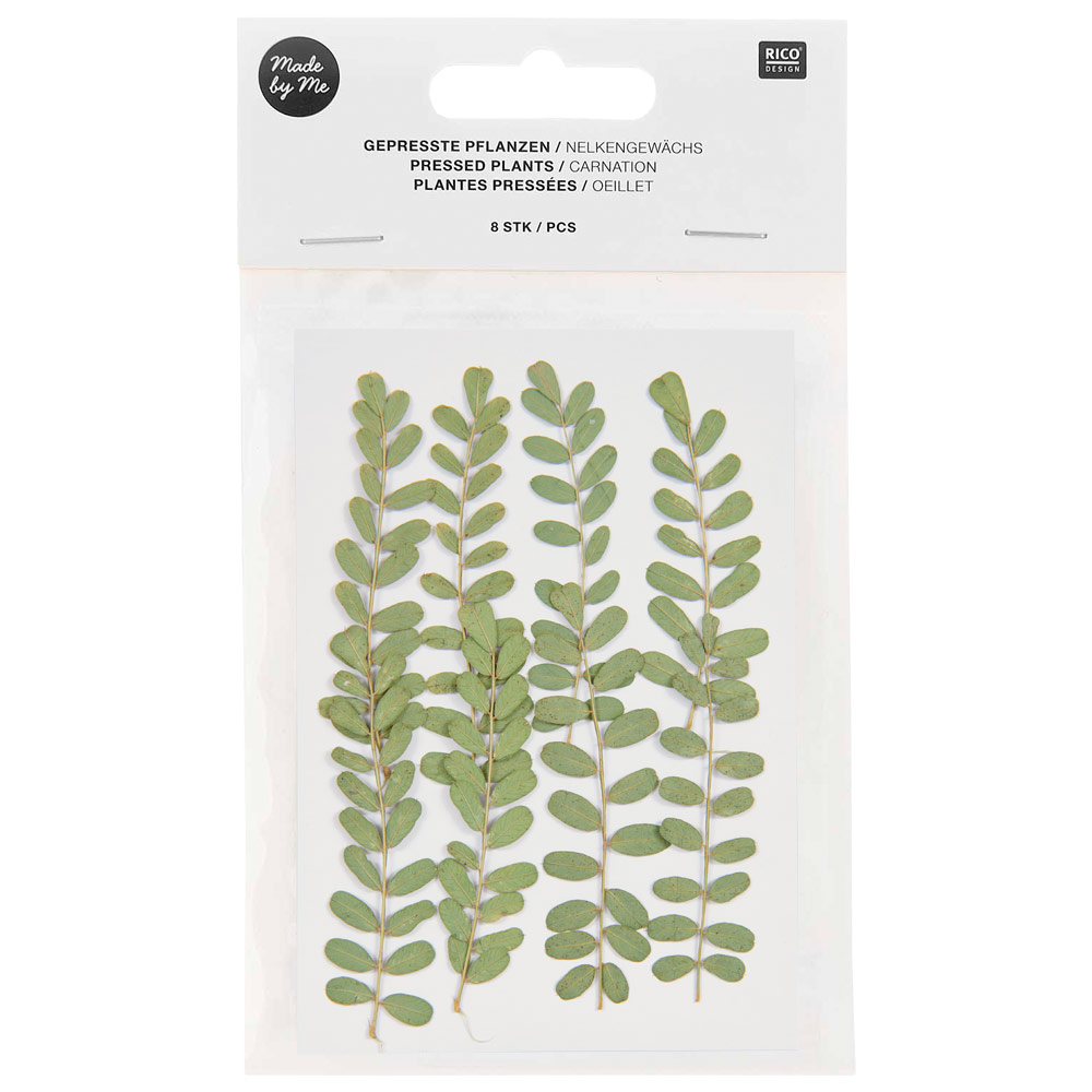 Rico Design Pressed Plant 8 Set Carnation