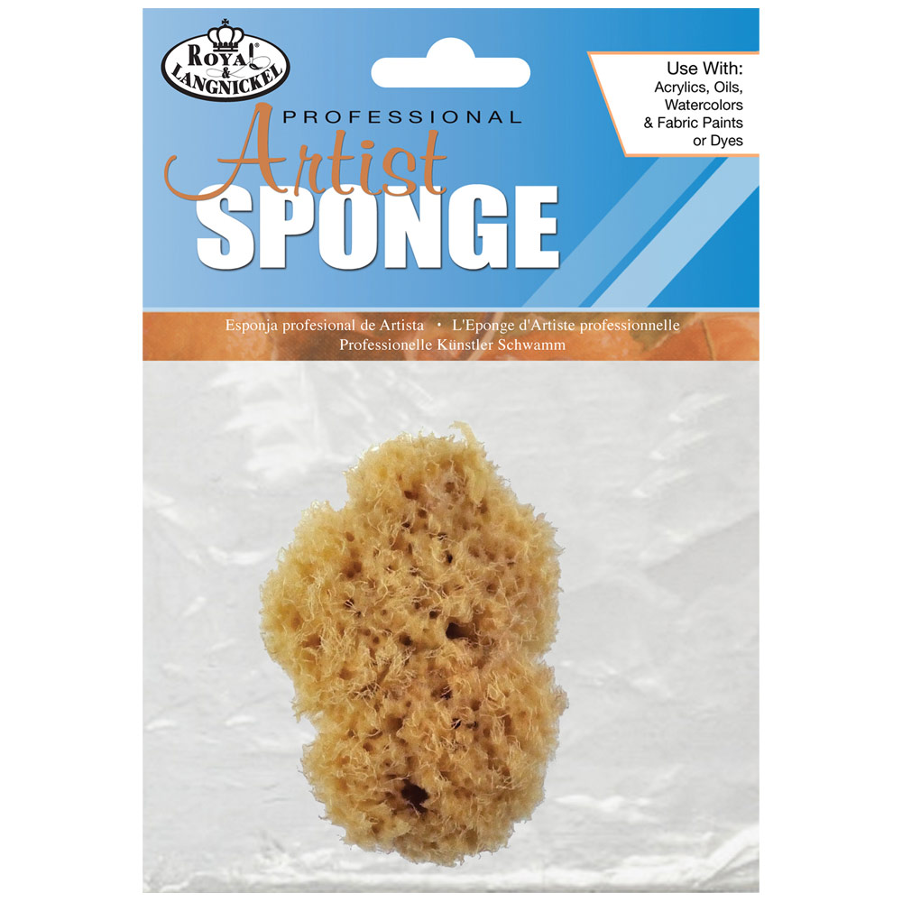 Professional Artist Natural Ocean Wool Sponge 2.5" - 3.0"