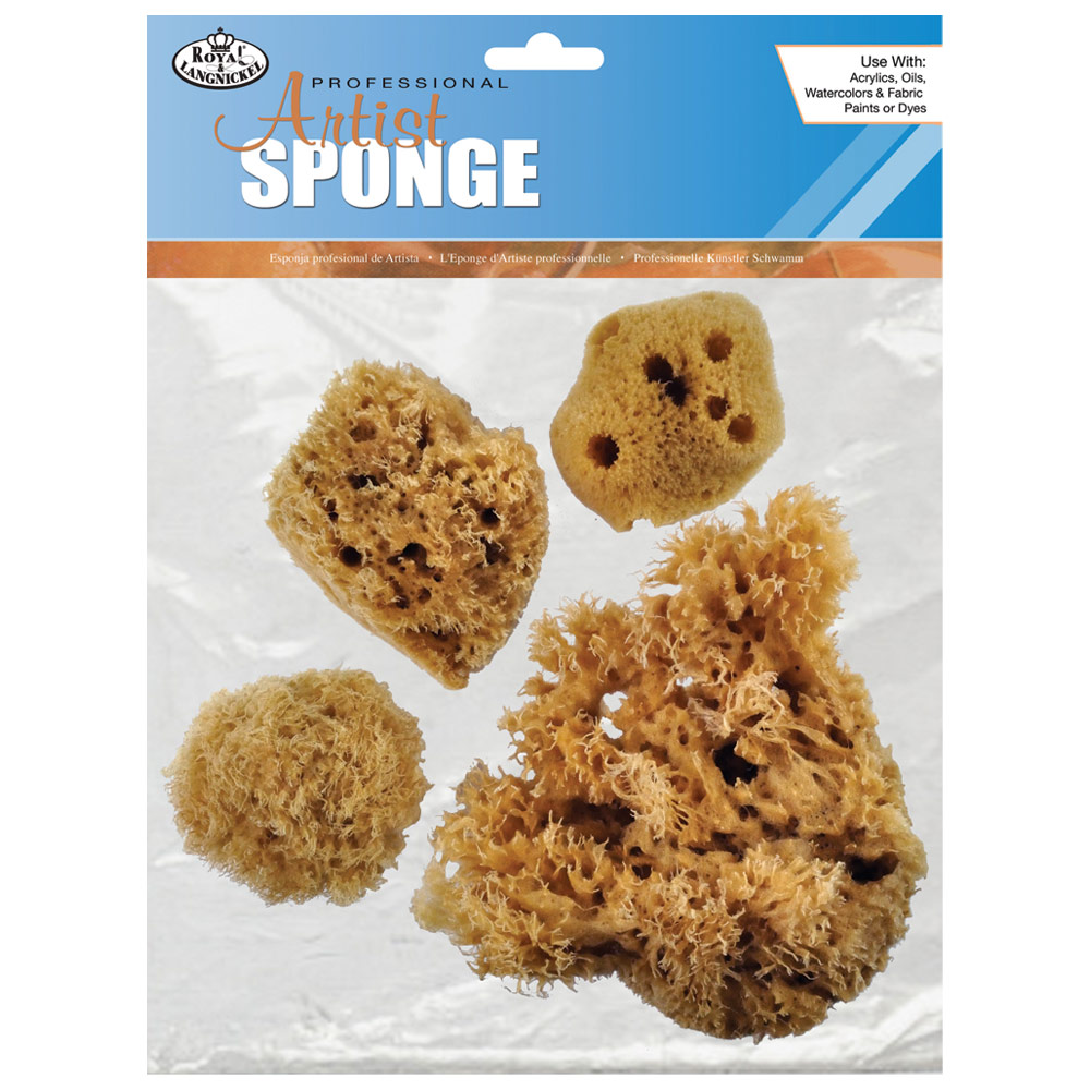 Combination Sponge Set