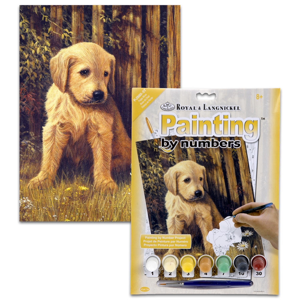 Royal Brush Painting by Numbers Junior 8.75"x11.75" Puppy Blues