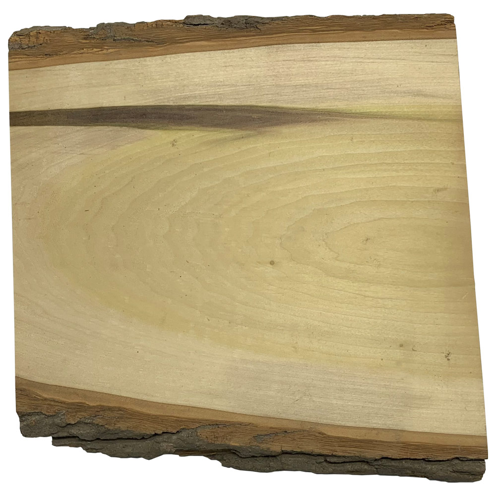 Rustic Slab Centerpiece 11.5"