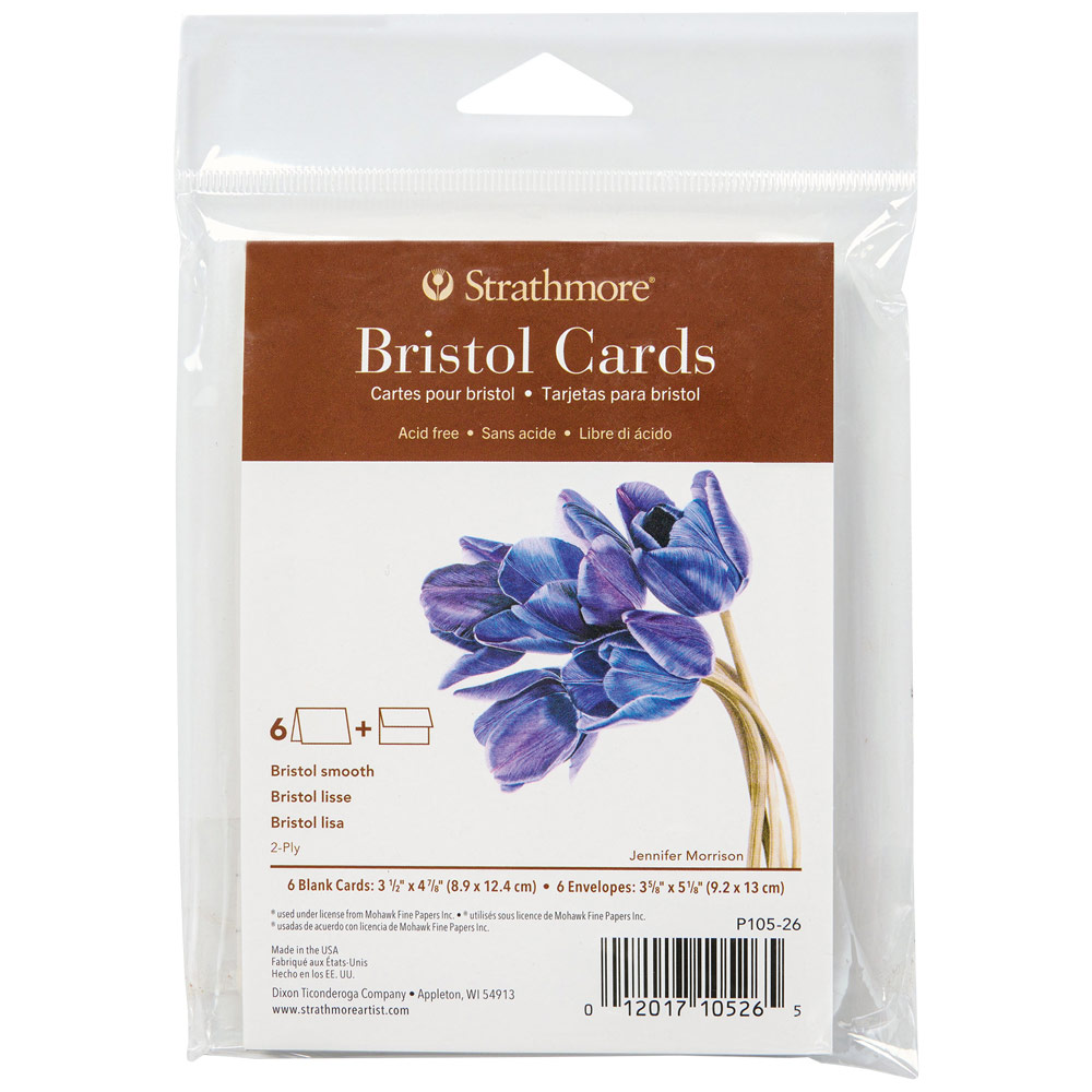 Strathmore 400 Series Bristol 2-Ply Blank Card 6 Pack 3.5"x4.875" Smooth
