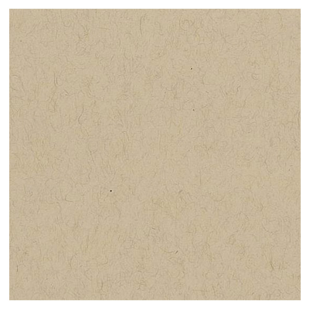 Strathmore 400 Series Recycled Toned Sketch Pad - 18 x 24, 24 Sheets,  Warm Tan