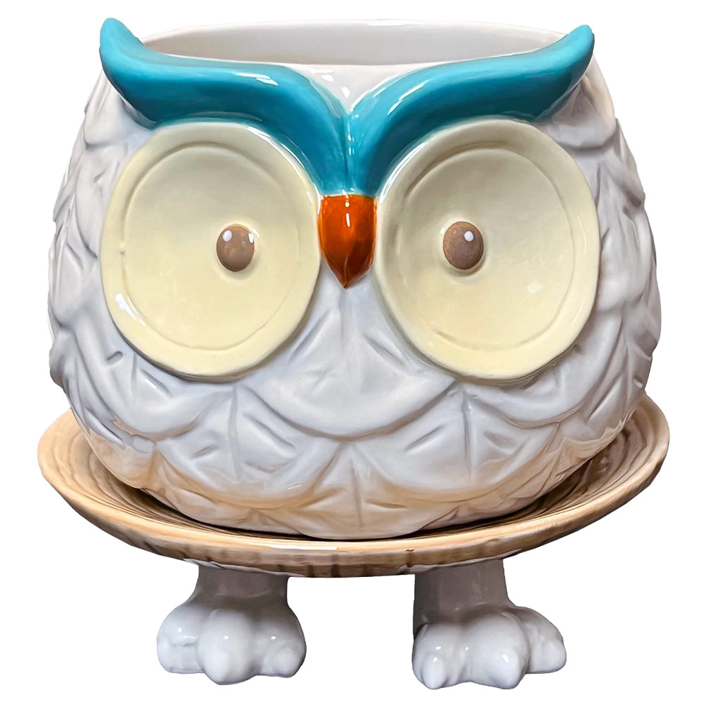 Ceramic Footsie Planter Hoots the Owl