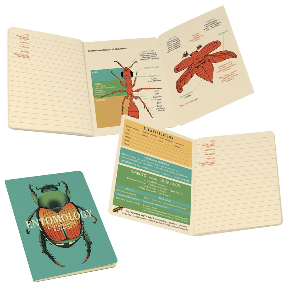 Unemployed Philosophers Guild Notebook 3.5"x5" Entomology