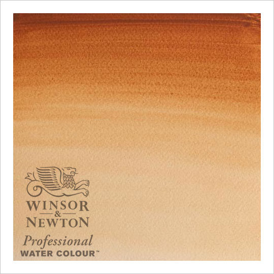 Winsor & Newton Professional Watercolour 5ml Brown Ochre