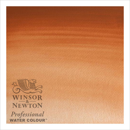 Winsor & Newton Professional Watercolour 5ml Manganese Brown