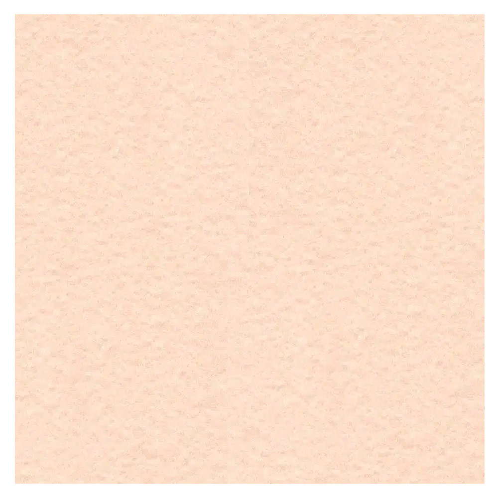 Wyndstone Parchment 60# Text Paper 25"x19" Salmon
