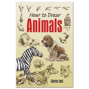 How to Draw Animals