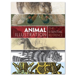 Animal Illustration: The Essential Reference
