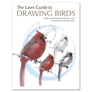 The Laws Guide to Drawing Birds