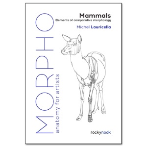 Morpho Mammals: Elements of Comparative Morphology